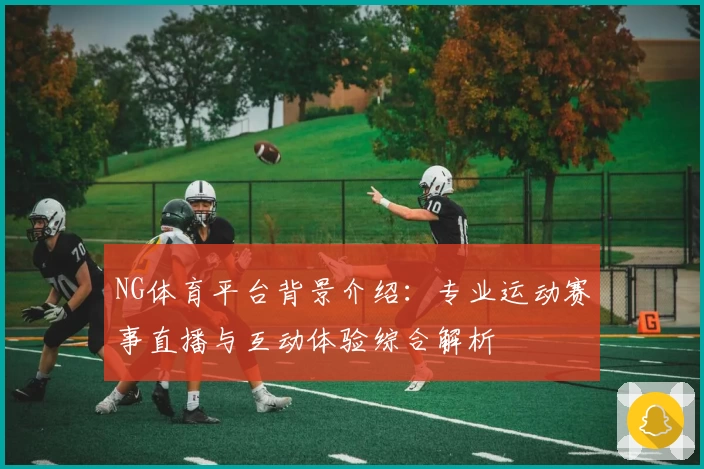 NG体育平台背景介绍：专业运动赛事直播与互动体验综合解析