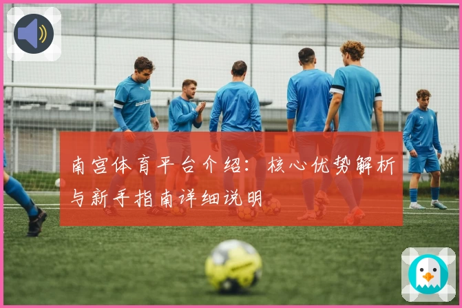 南宫体育平台介绍：核心优势解析与新手指南详细说明